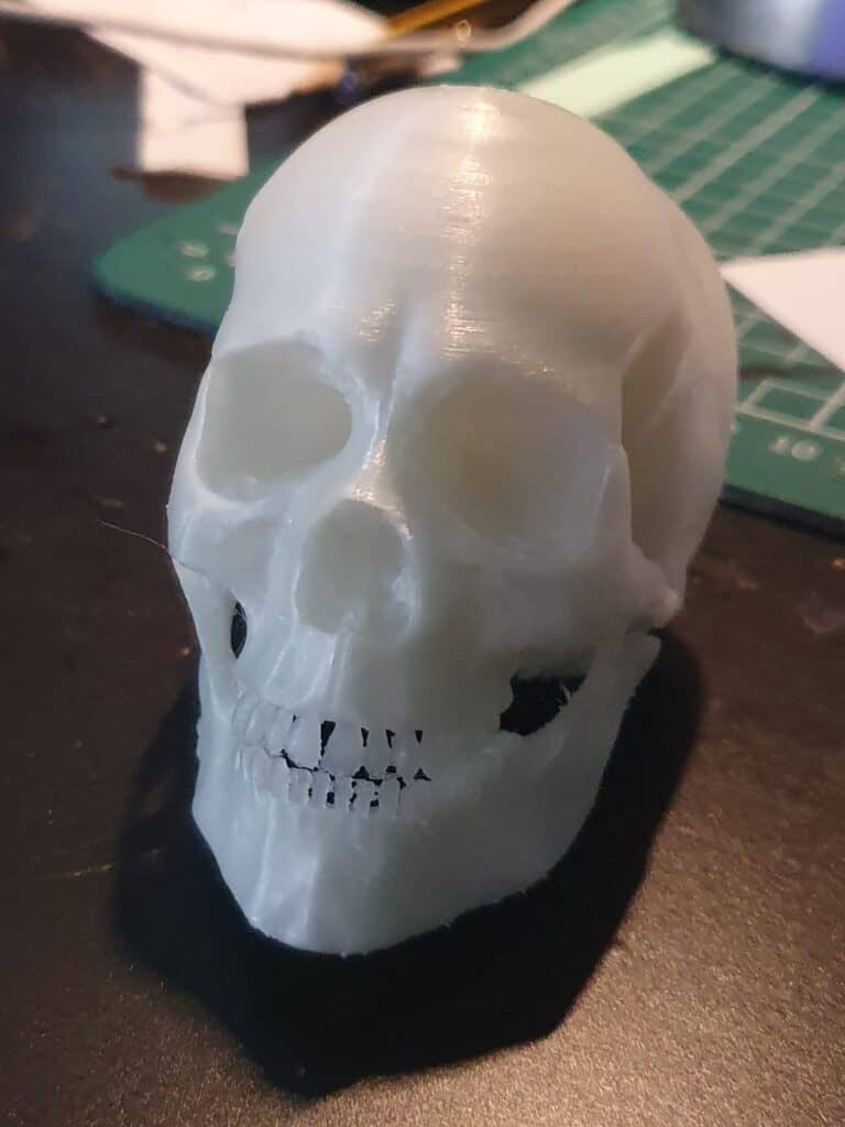 3D-printed human skull model on desk.